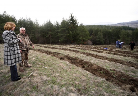 Bulgaria: Bulgaria Extends Land Purchase Ban despite EU Warning