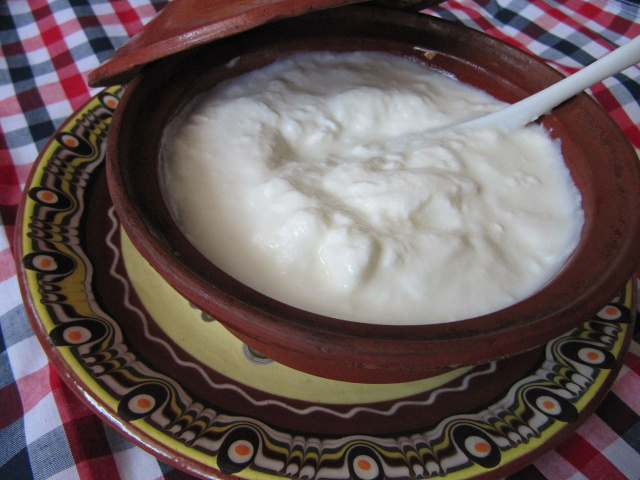 Bulgaria: Another Asian country will produce Bulgarian Yogurt