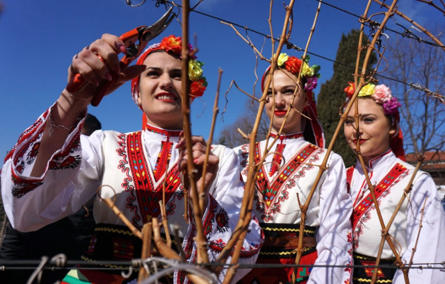Bulgaria: Vintner's Day in Bulgaria: Celebrating Saint Tryphon Amidst Saint Valentine's