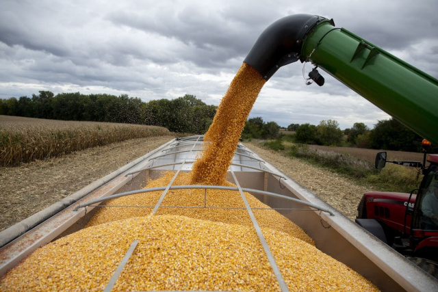 Bulgaria: European Commission Plans Heavy Tariffs on Russian Grain Imports