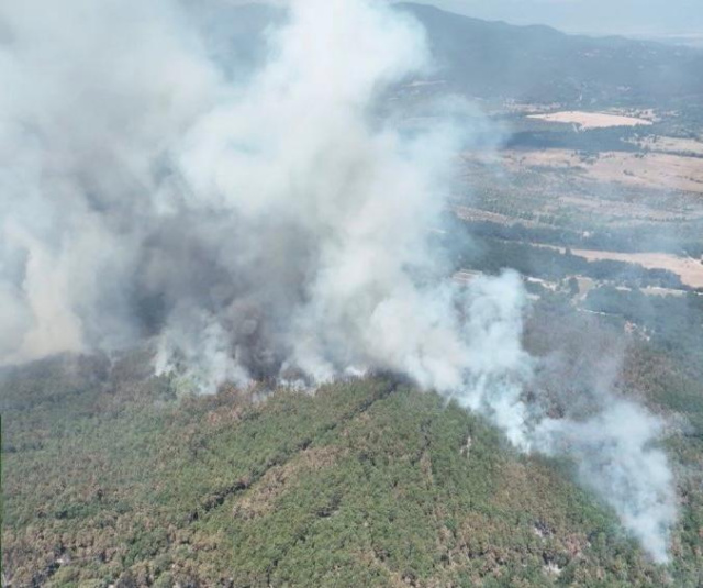 Bulgaria: Interior Minister: Bulgaria's Fire Situation Normalizing, Challenges Persist