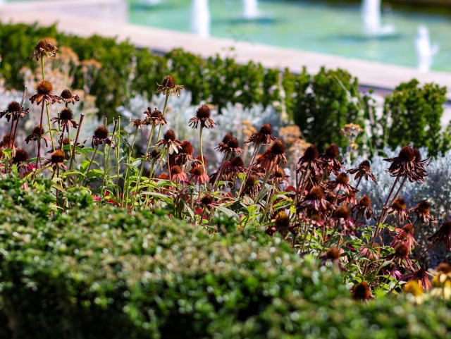 Bulgaria: July Likely Breaks Record as Hottest Month Ever