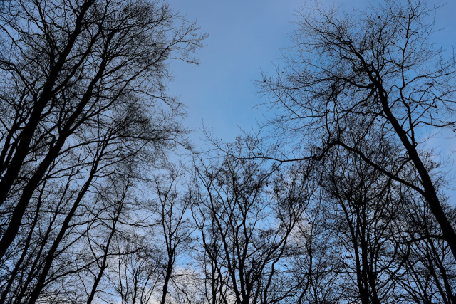 Bulgaria: Sunny Weather Expected Across Bulgaria on December 20