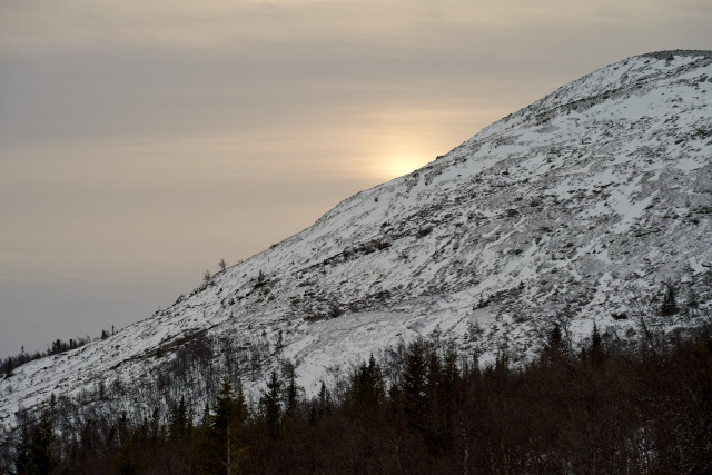 Bulgaria: Cold and Cloudy Weather Across Bulgaria on January 14